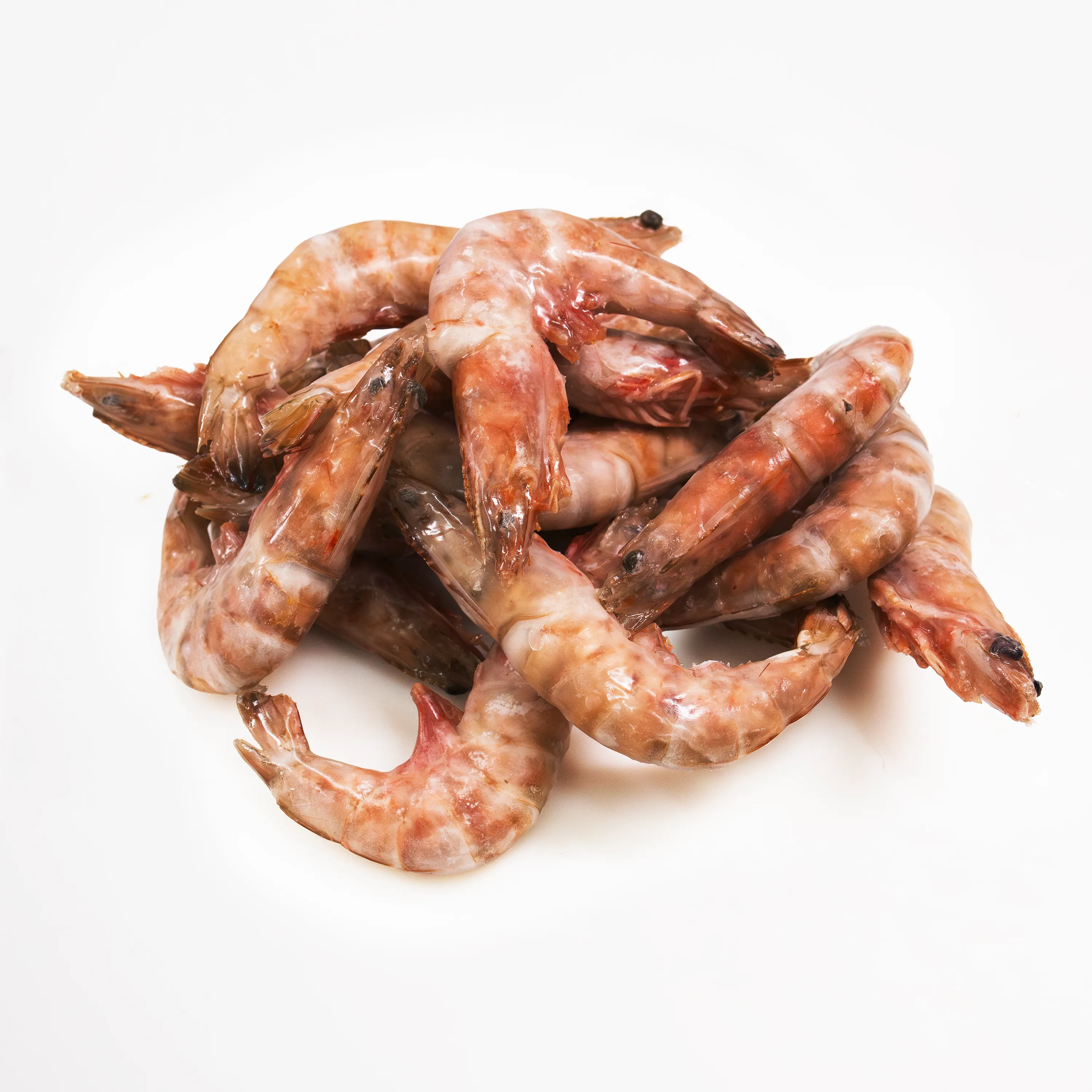 Shrimp pink whole 11_15 maior